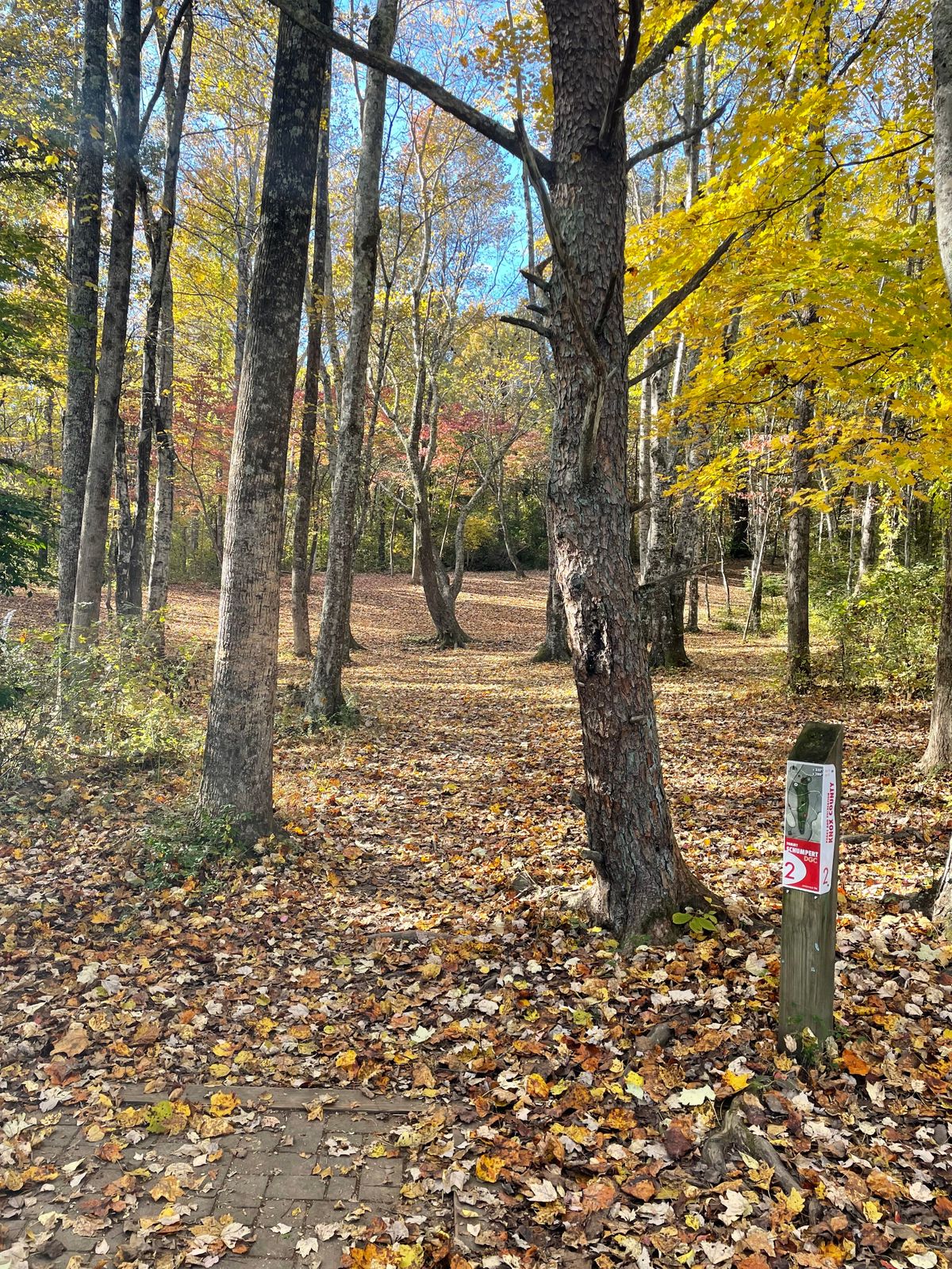 Short tee pad at hole 2
