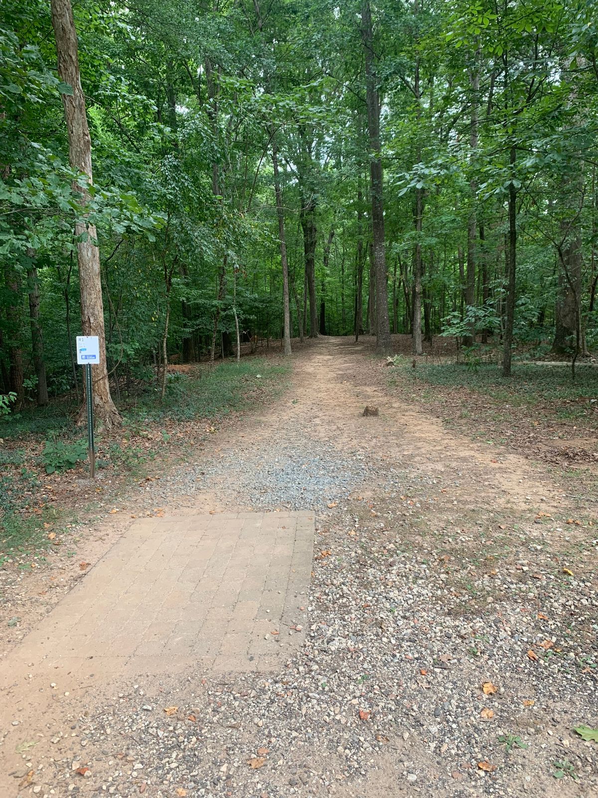 Hole 1 tee