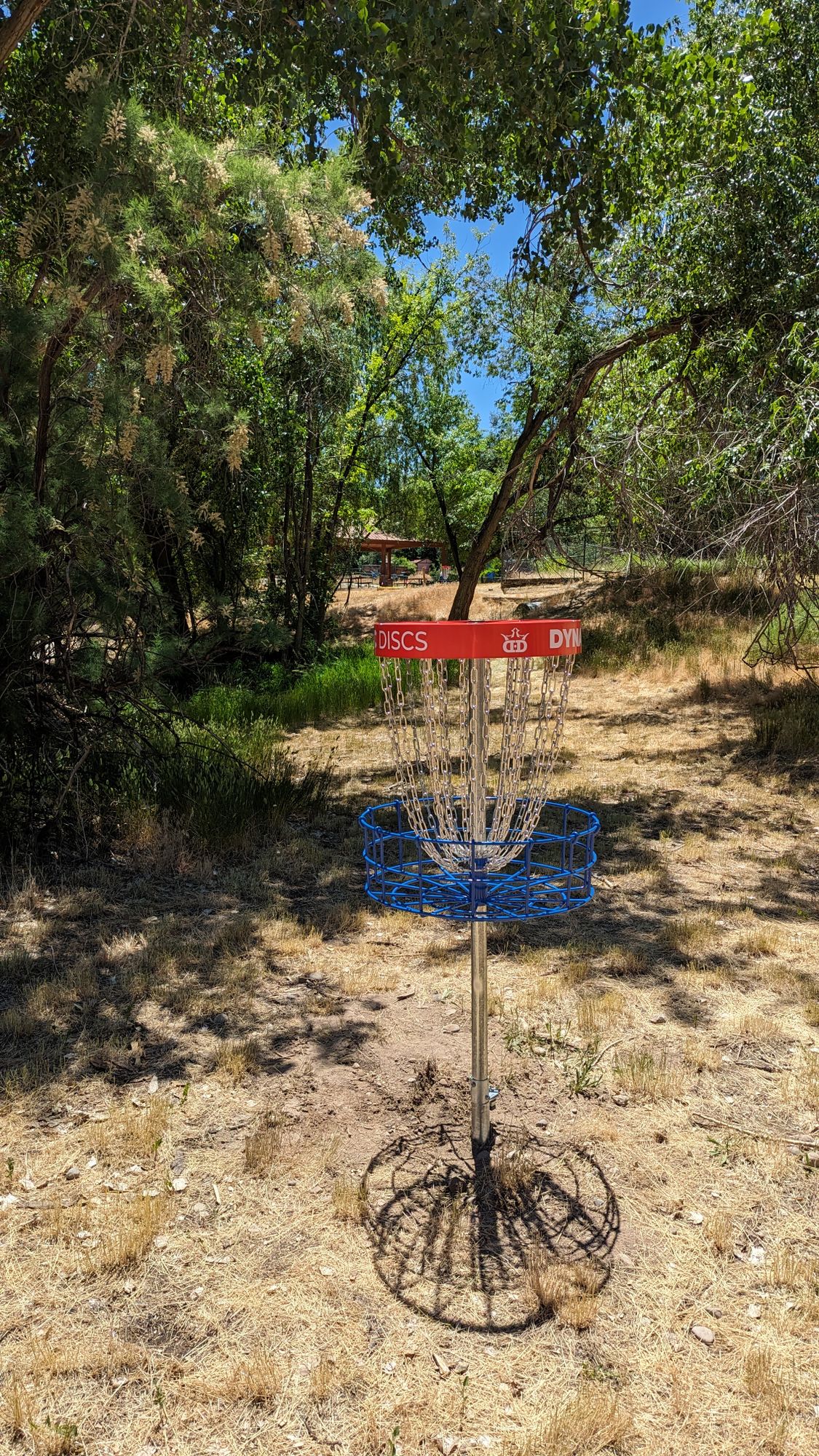 Hole 2 looking back to the tee.