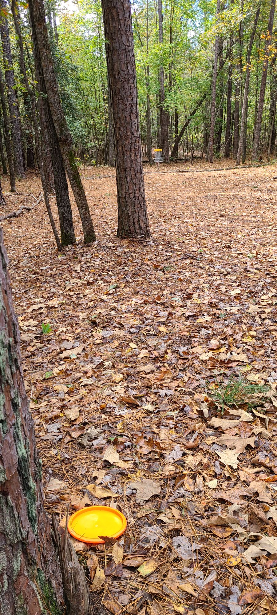Approach to #16