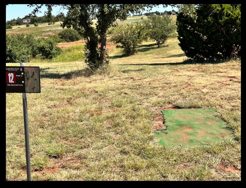 12 tee - basket between trees at bottom of hill