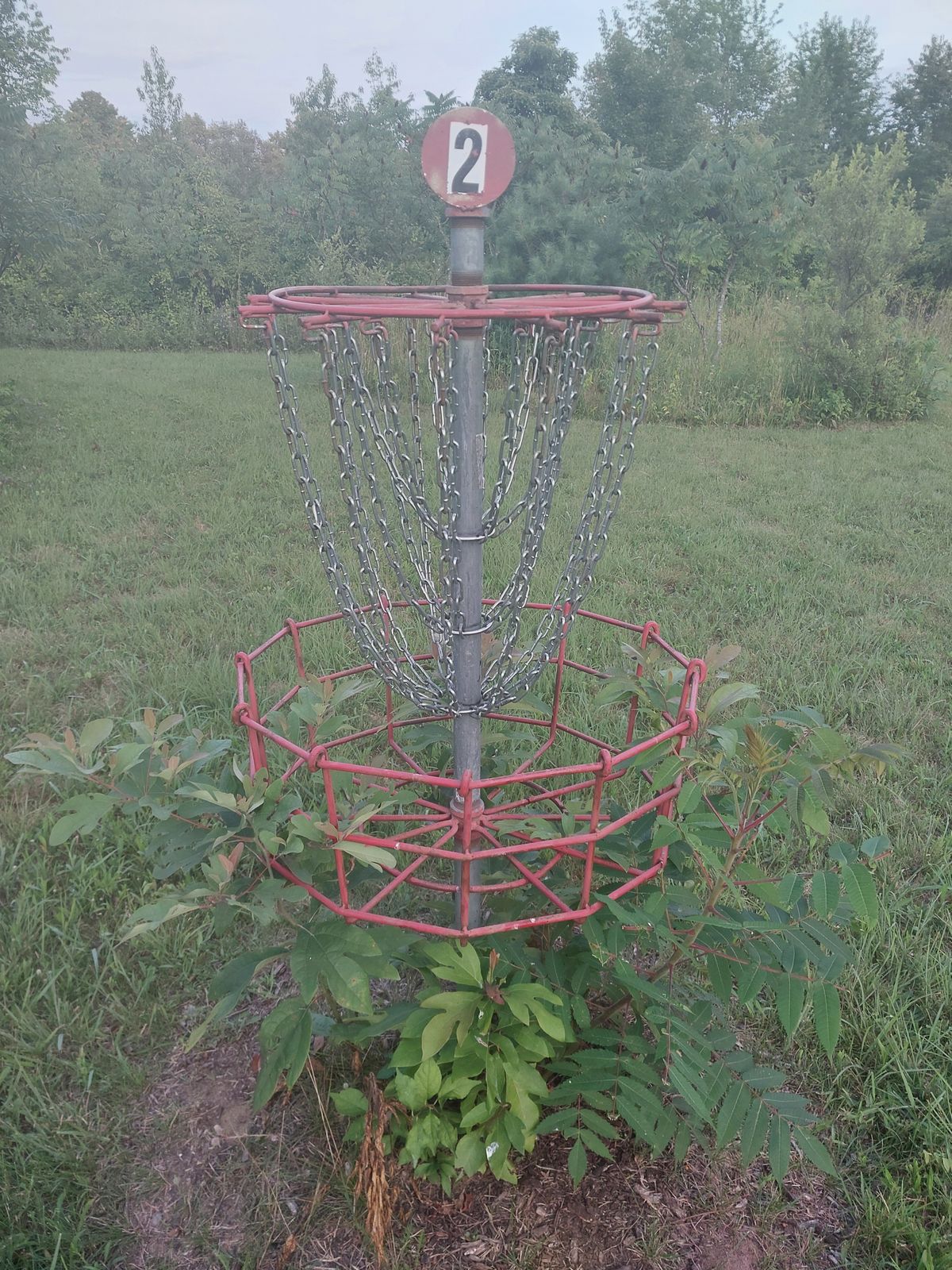 Homemade baskets