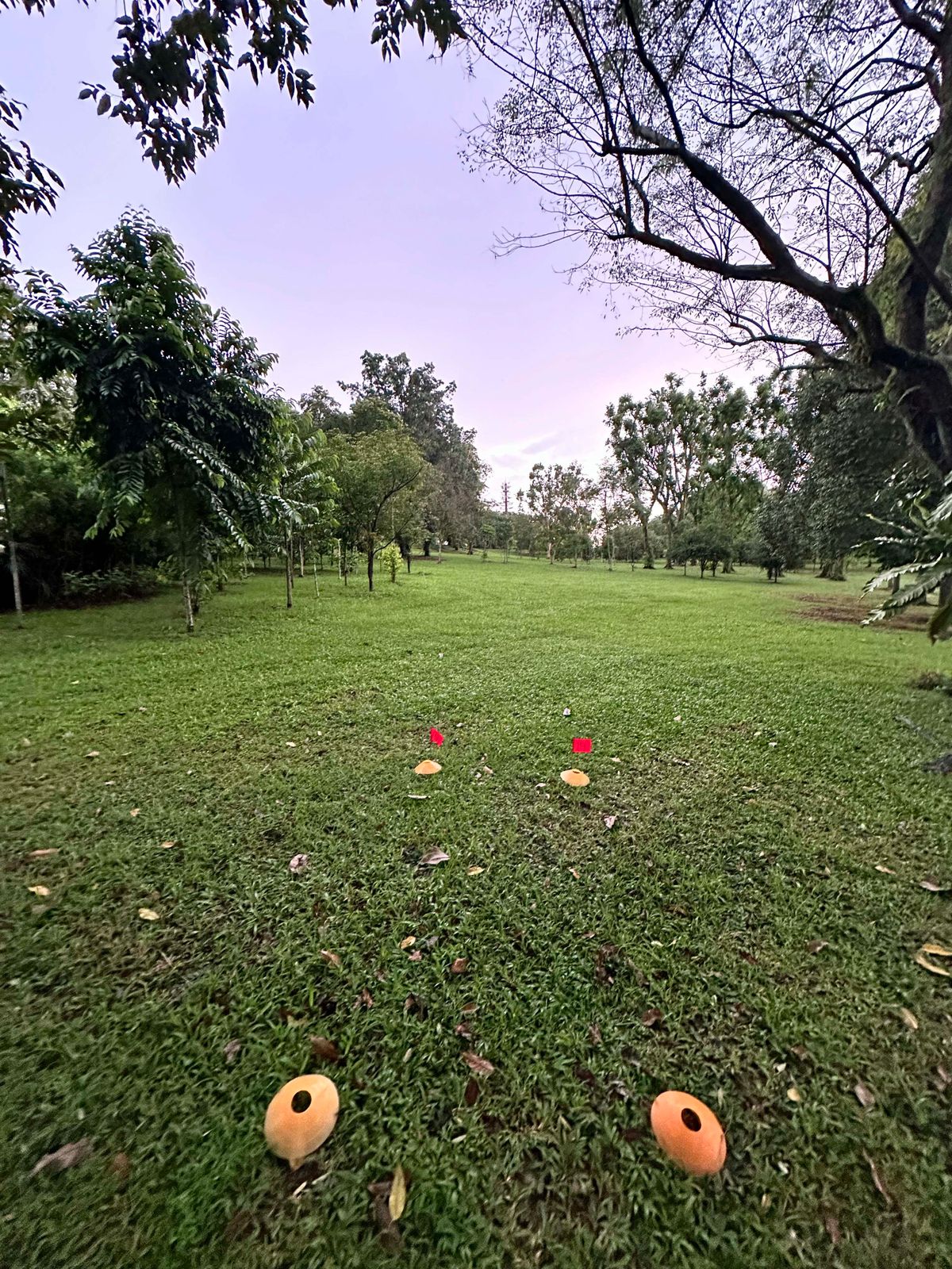 Hole 14 Teepad