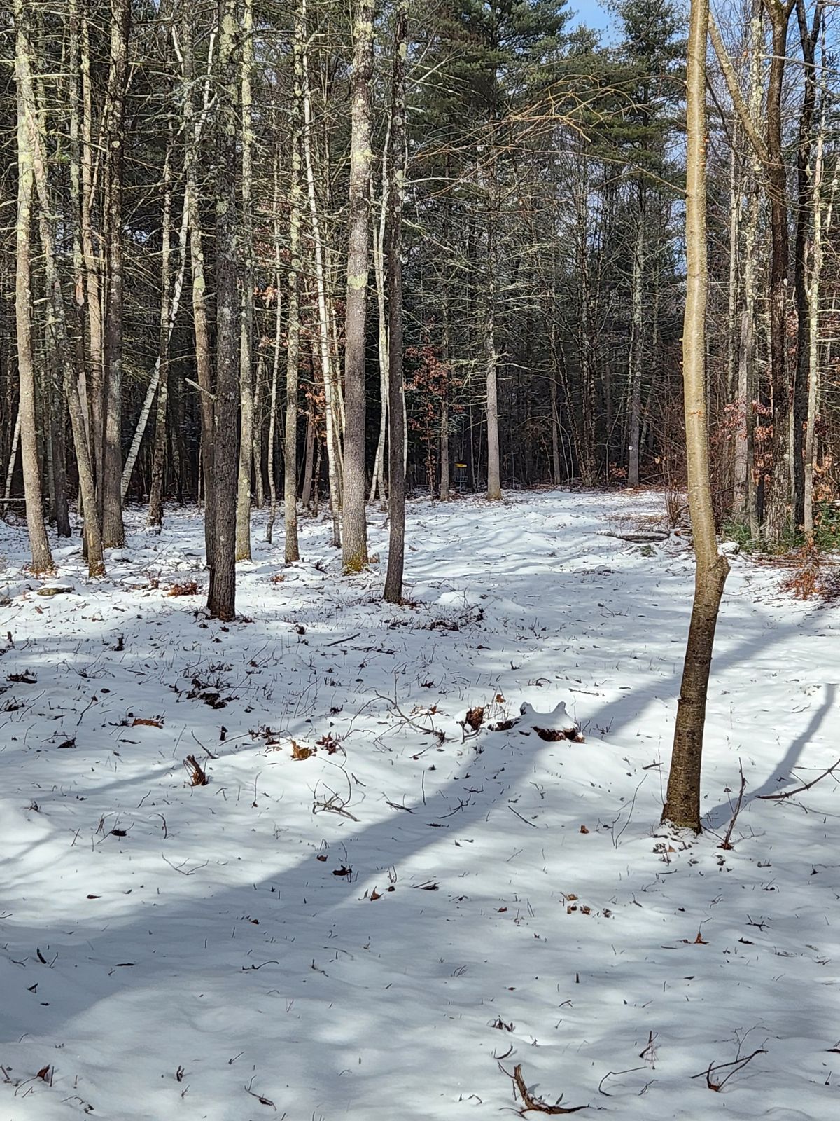 Hole 3 short tee