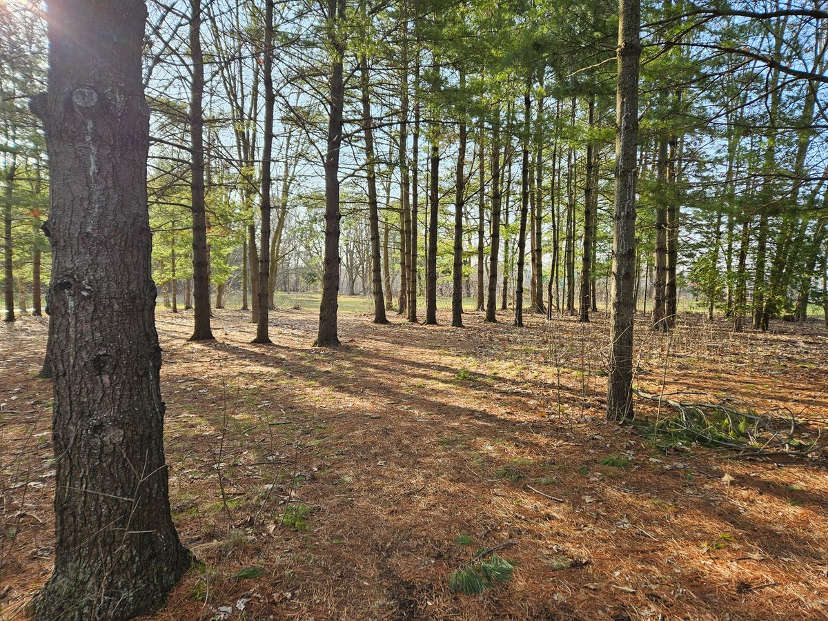 Hole 4