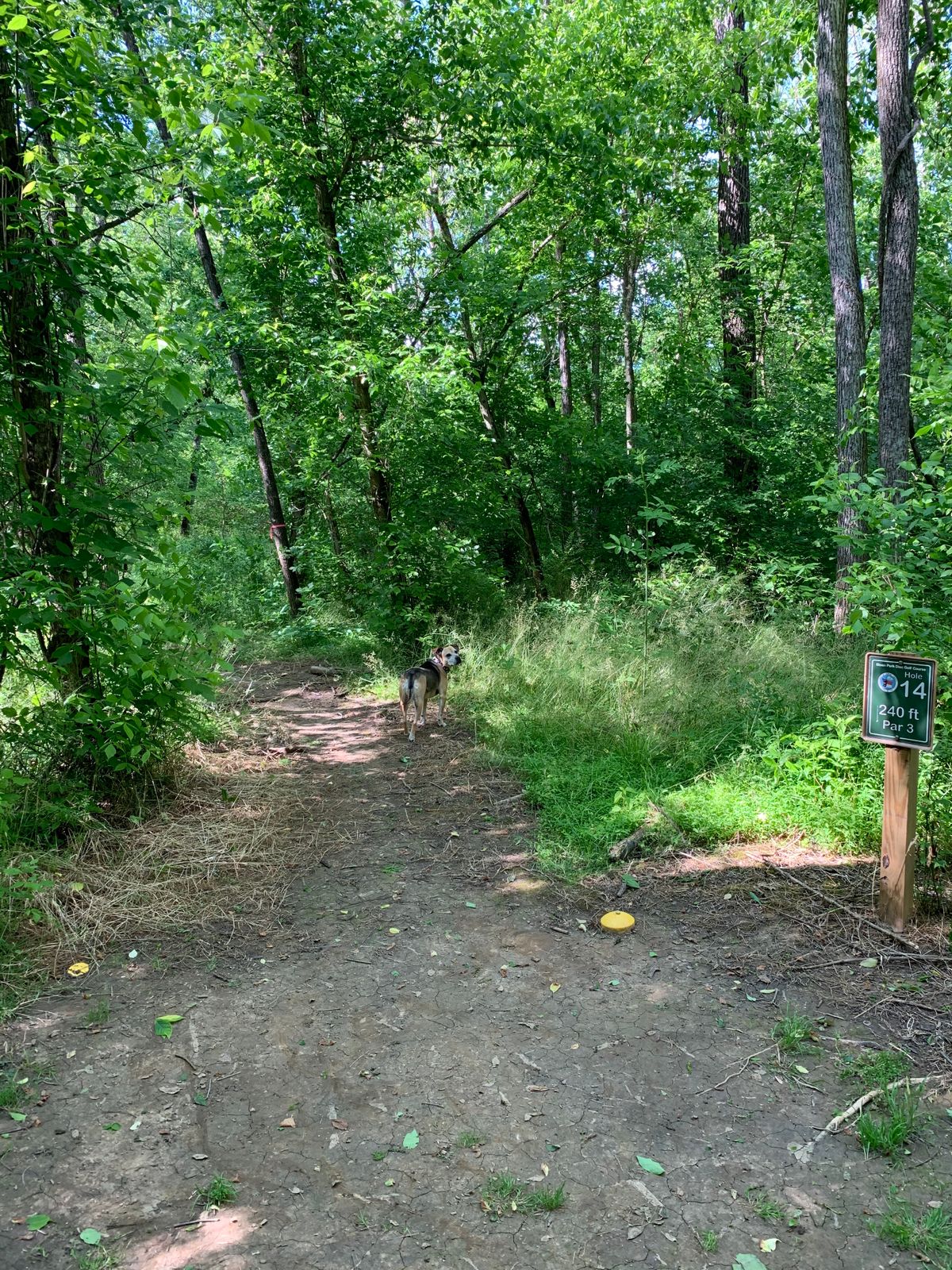 Hole 14