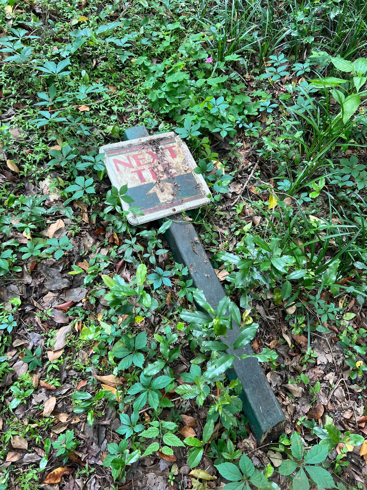 Hole 15 completely gone