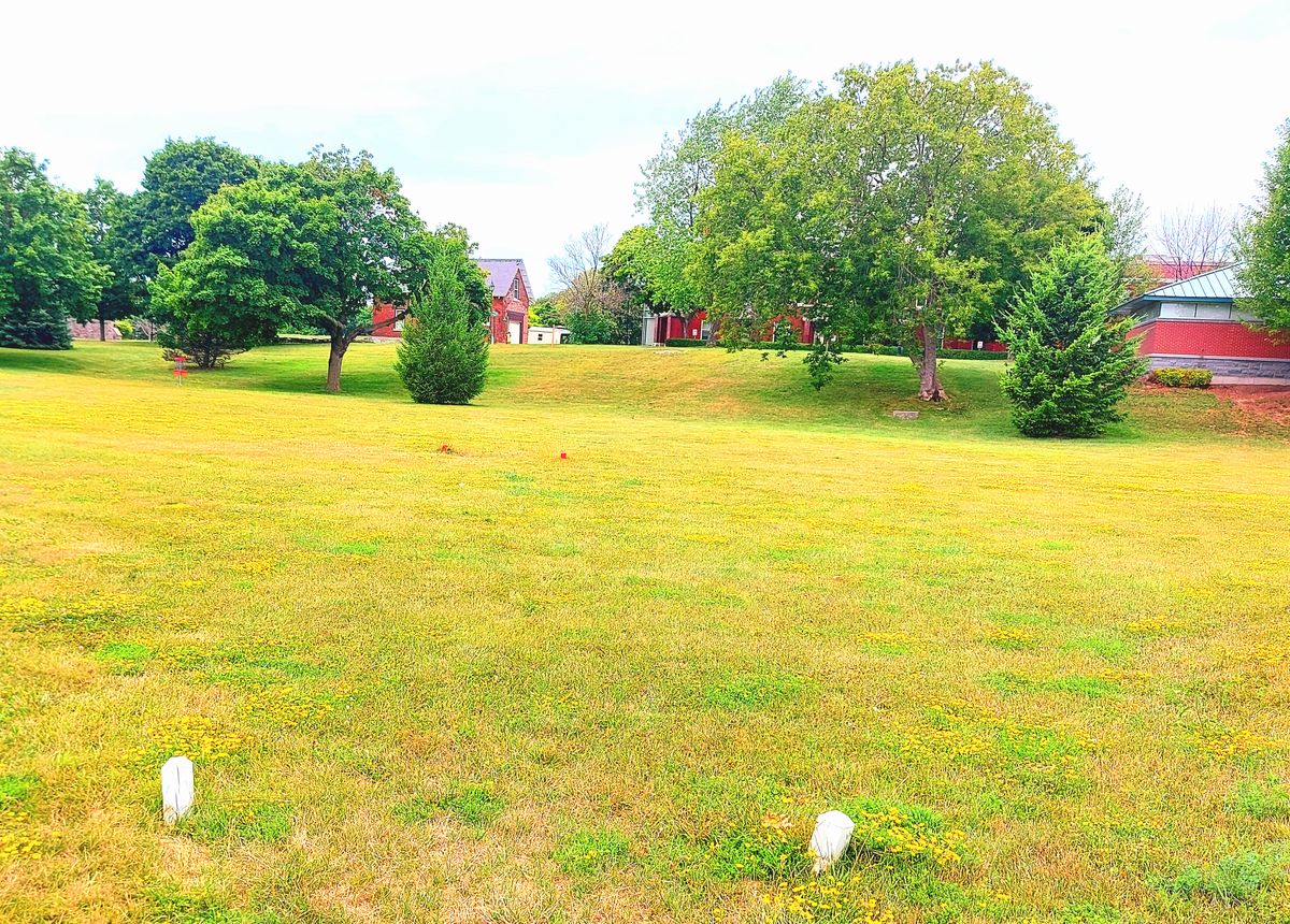 White tee pad 2. With Mando left of big tree.
