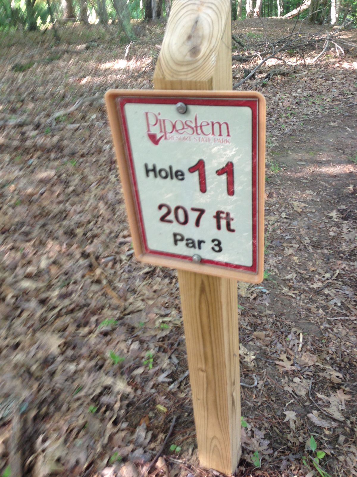 Hole 11