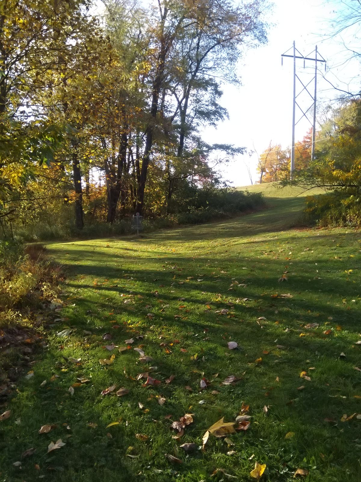 Hole #4 basket