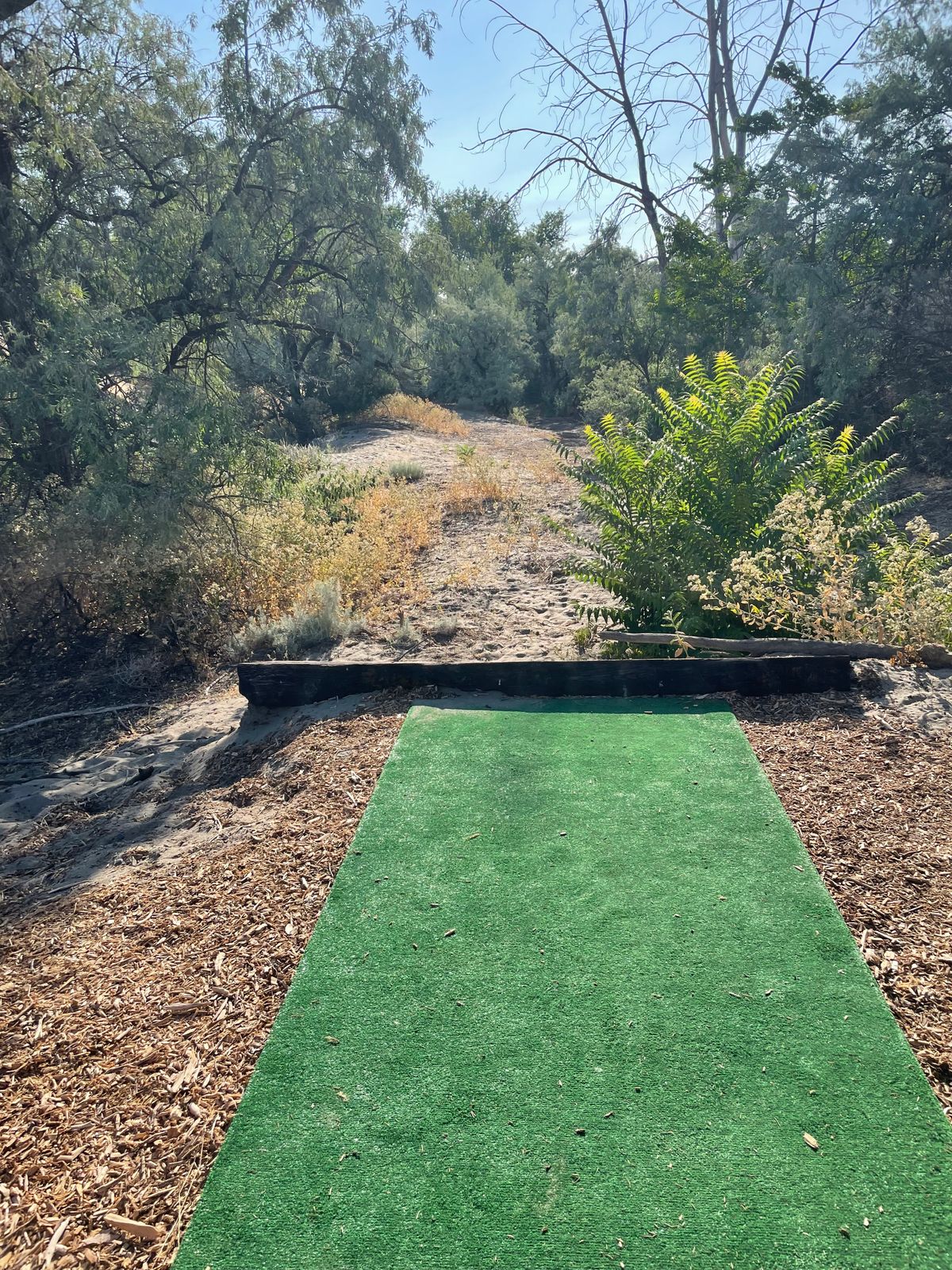 Hole 4