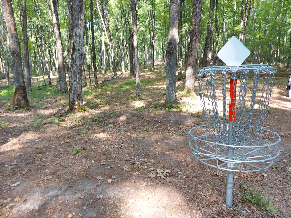 Reverse back up the fairway on hole 11.🪵🍂🍃🪵