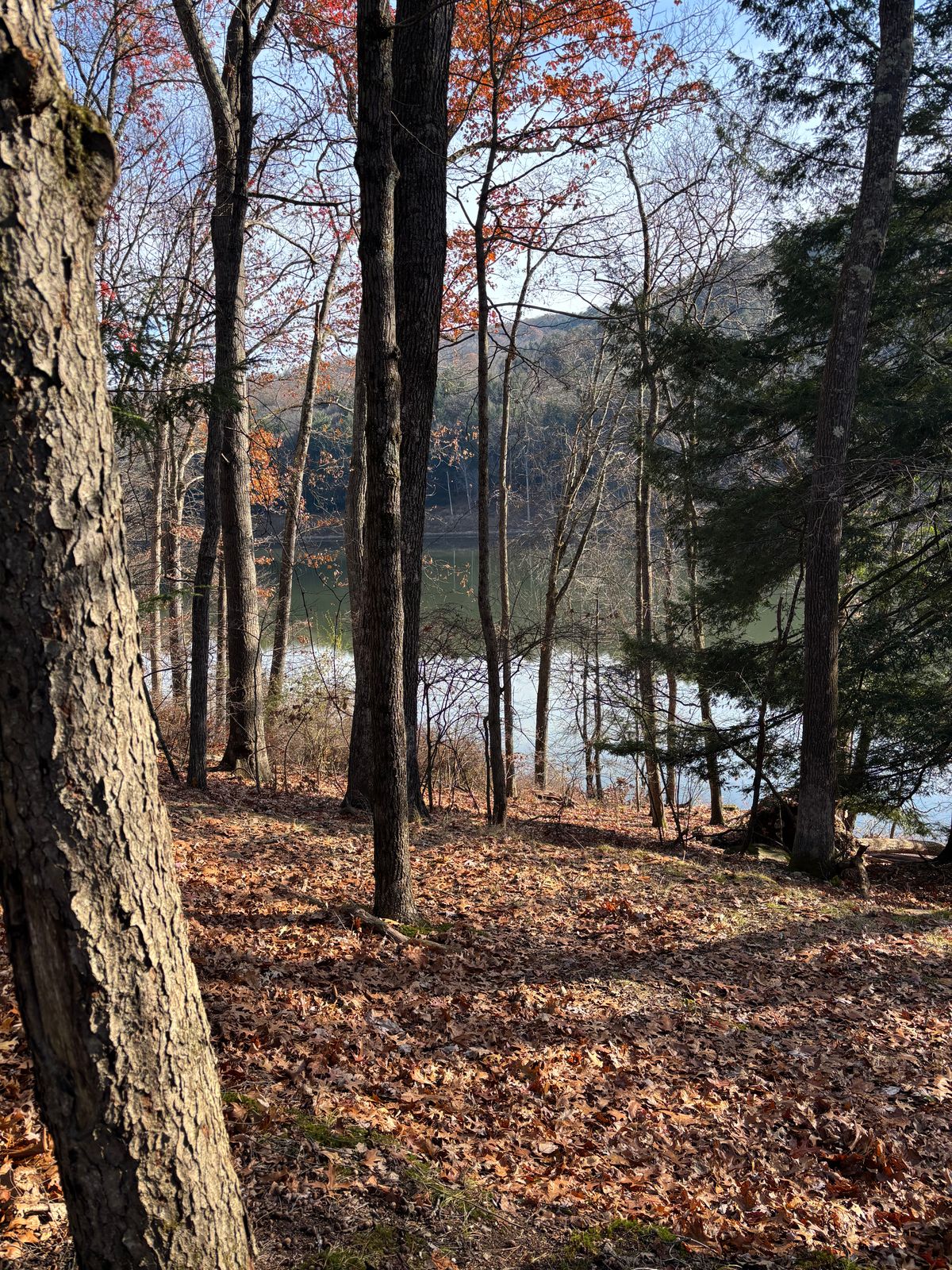 Overlook near #11 basket.