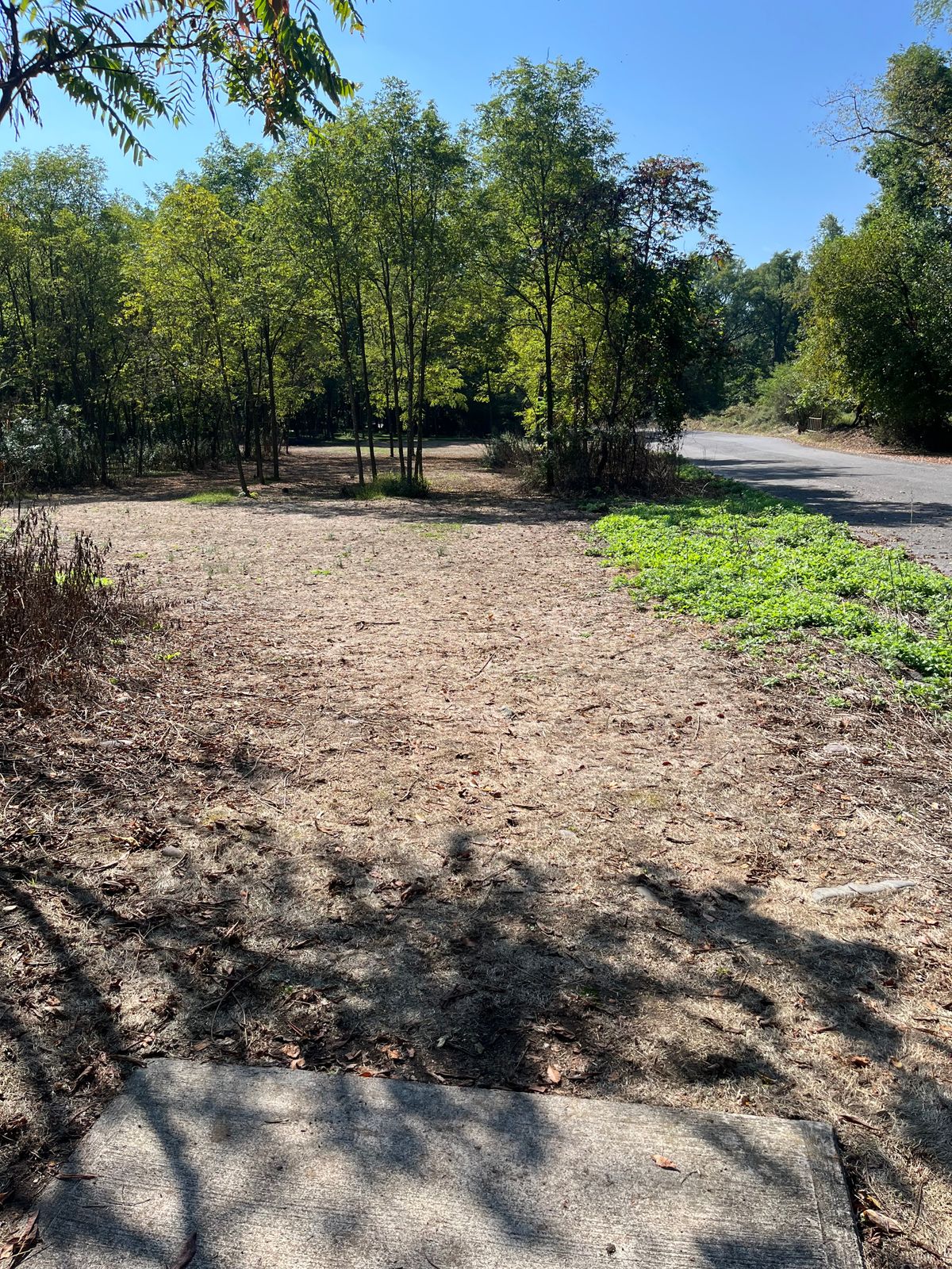 Hole 15