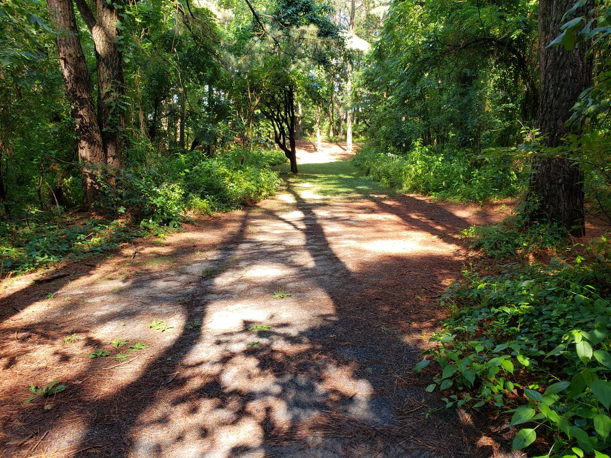 Hole 7 White Tee