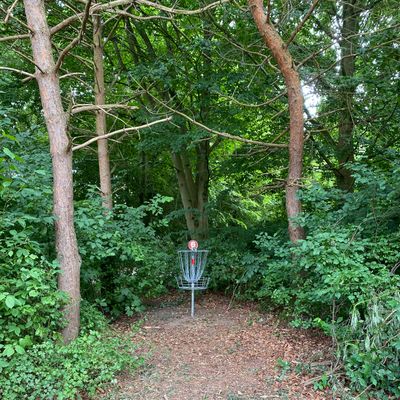The new hole #6 putt into the wood