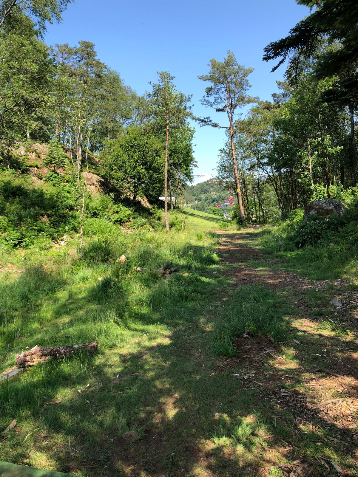 View from Tee for Hole 12 & 16. Basket 12 to the left behind trees, basket 16 to the right.