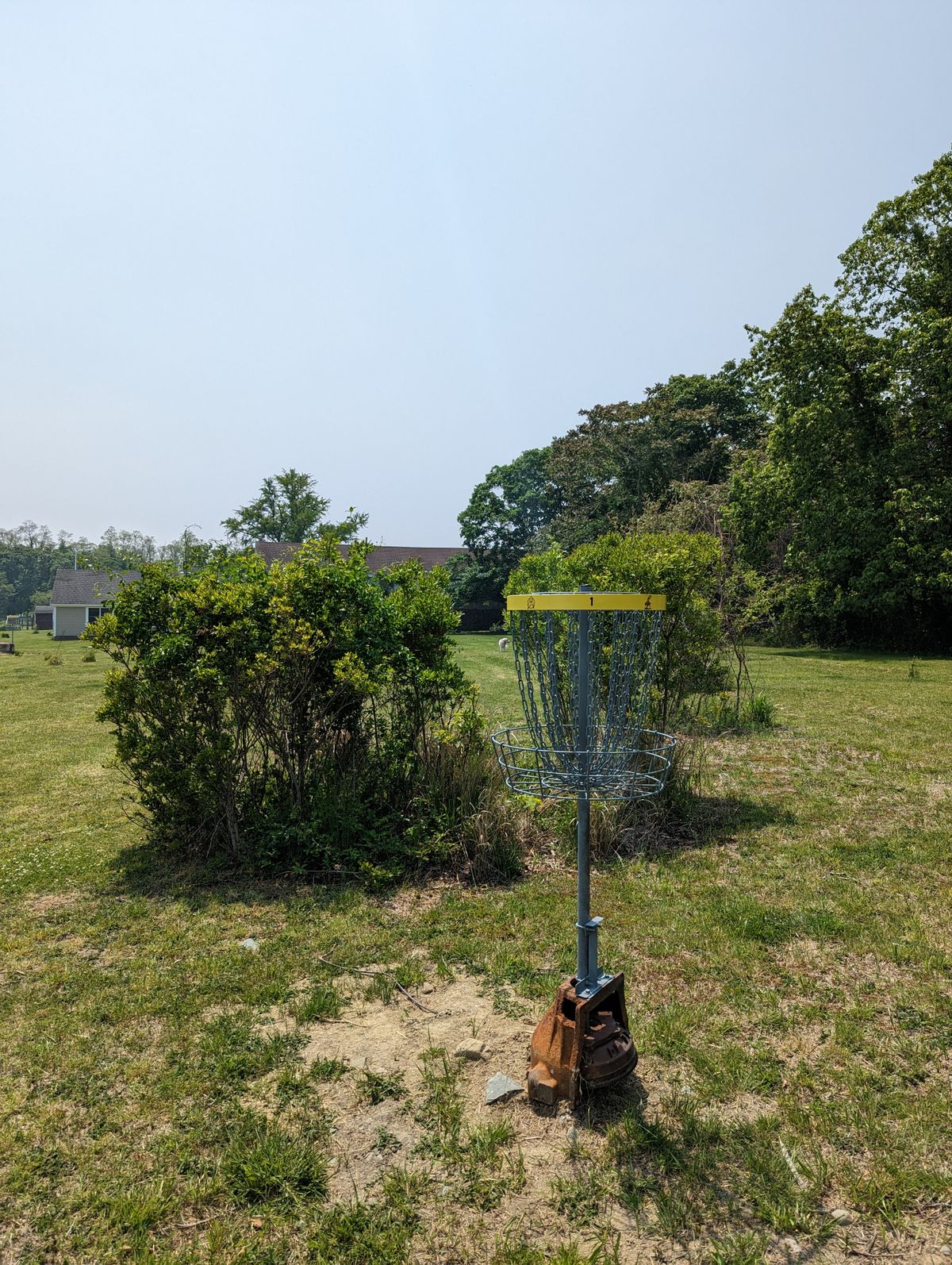 1 basket