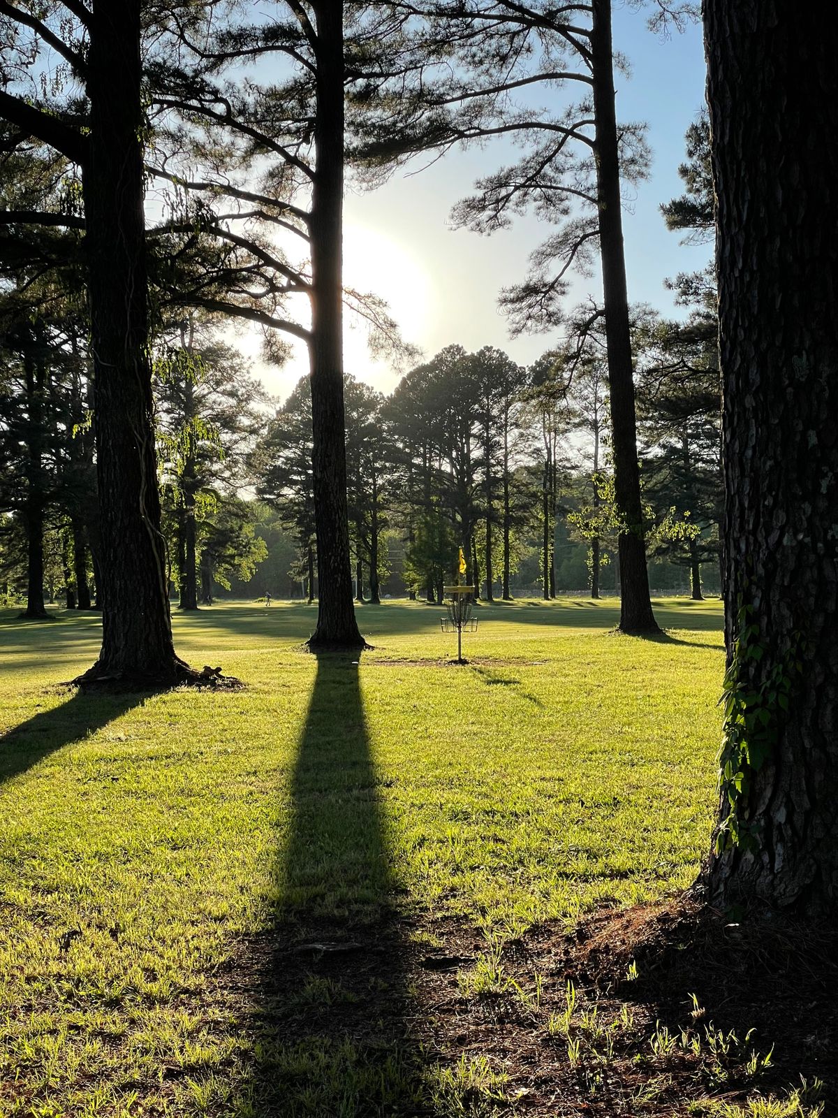 Hole 17 green