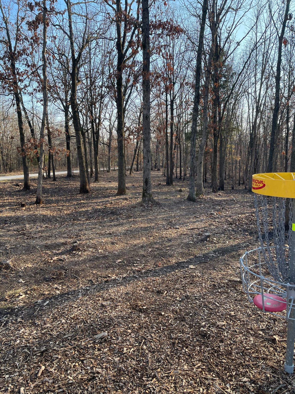Looking back down 9s fairway from basket to tee par 4