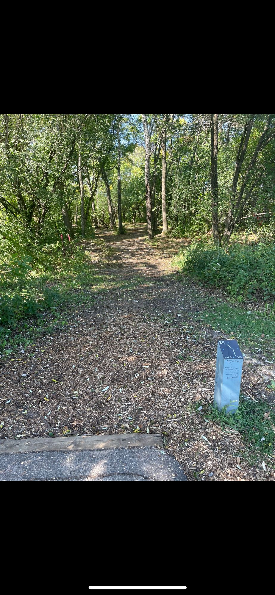 Hole 14 teepad
