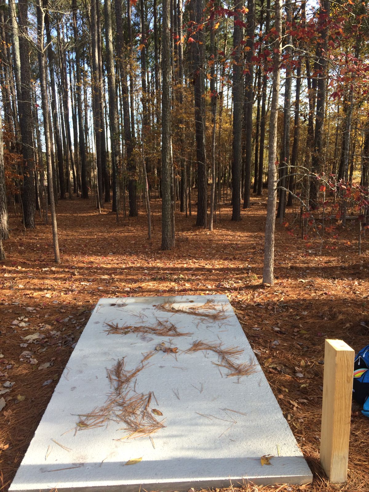 Hole #3 Tee