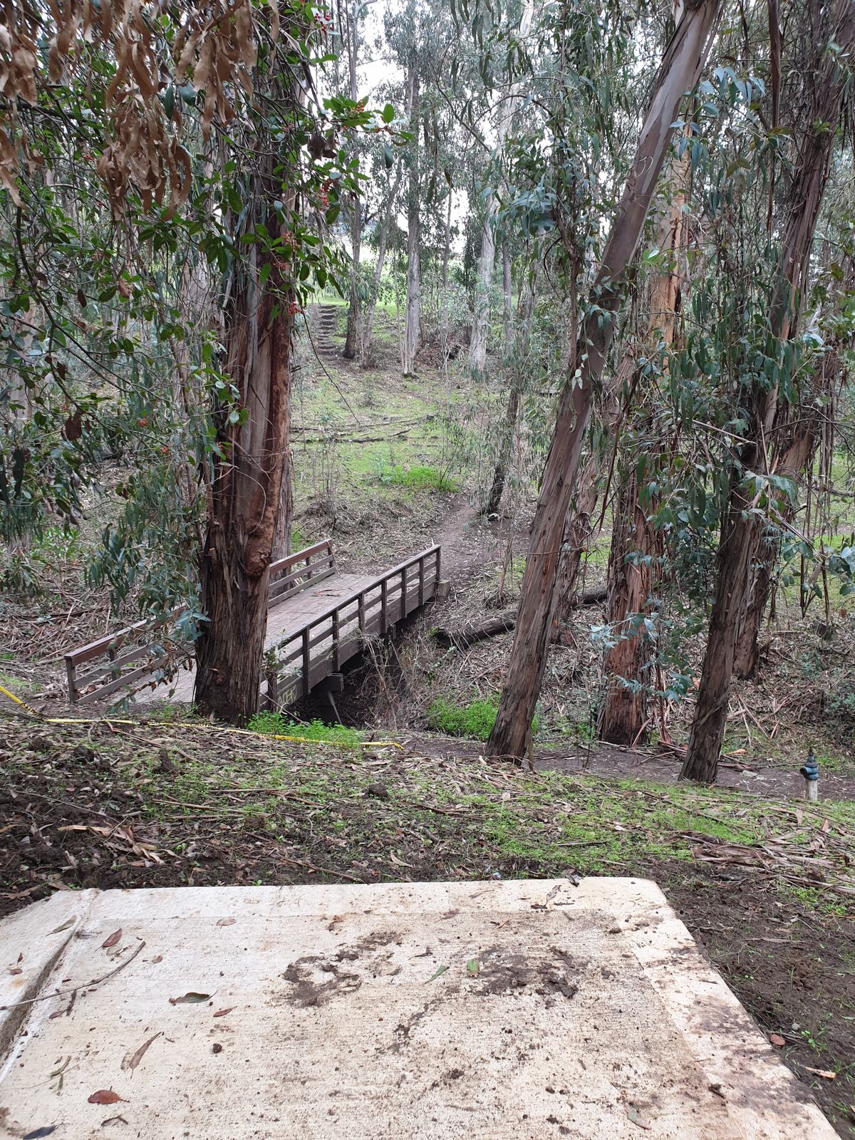 3rd tee
