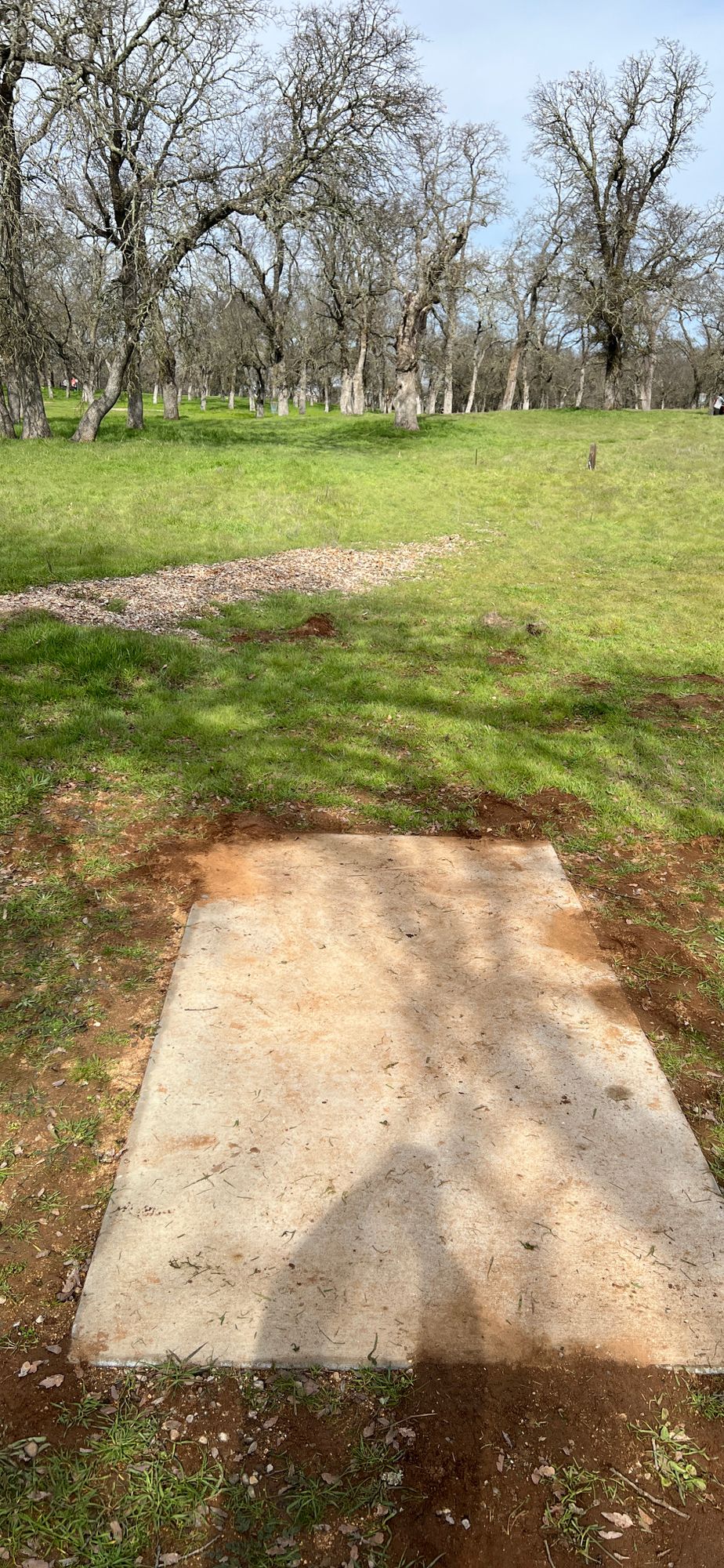Hole 8