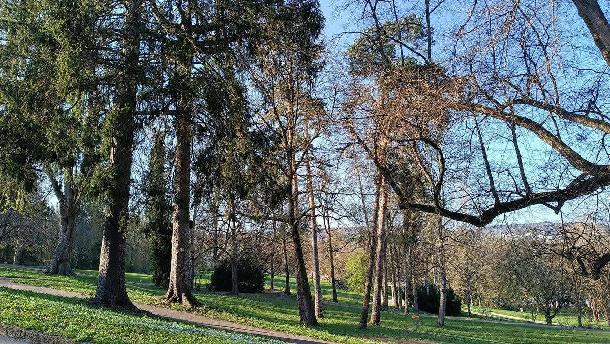 Middle Section and final holes on the slope of the beautiful Galgenberg park