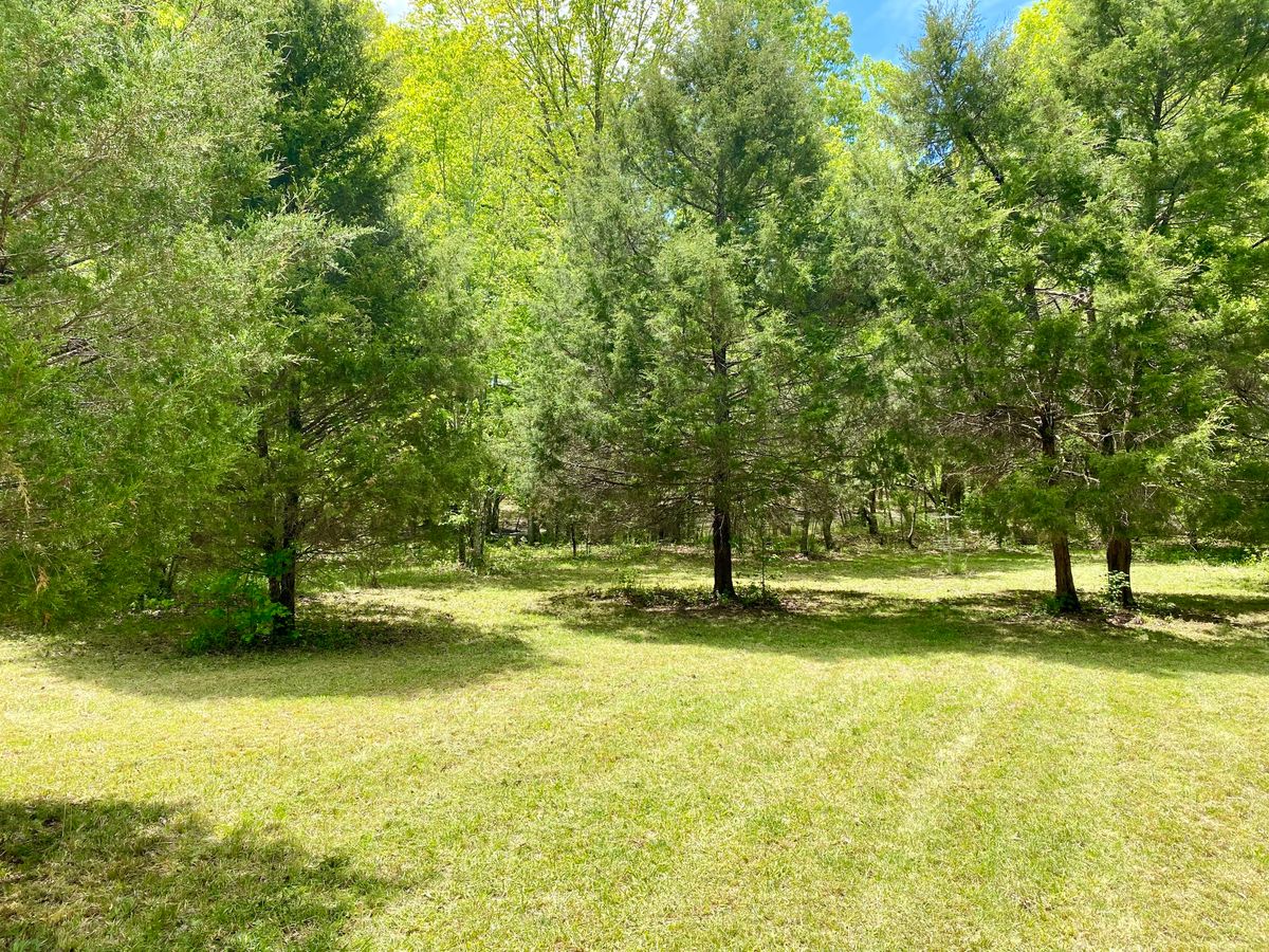 Hole 13