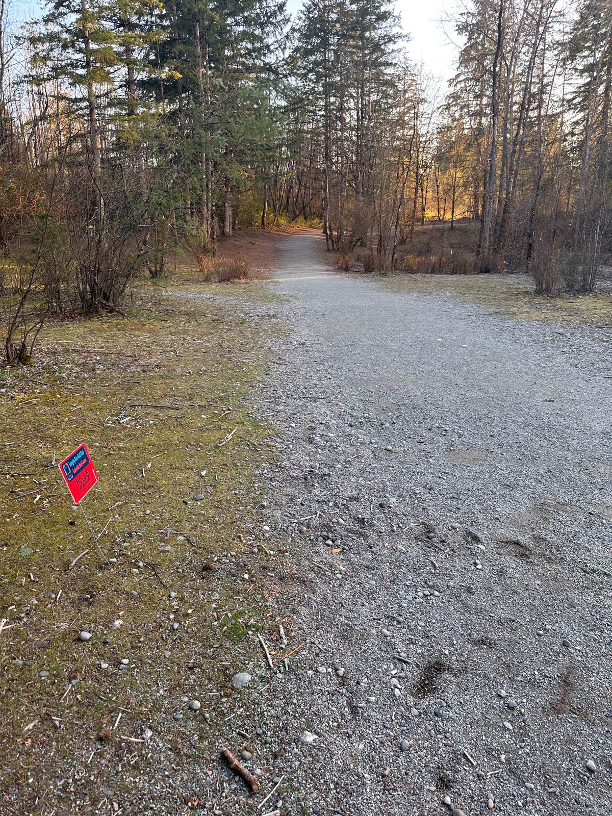 Red 8 par 4
