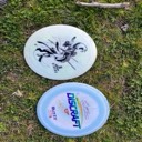 levidiscs