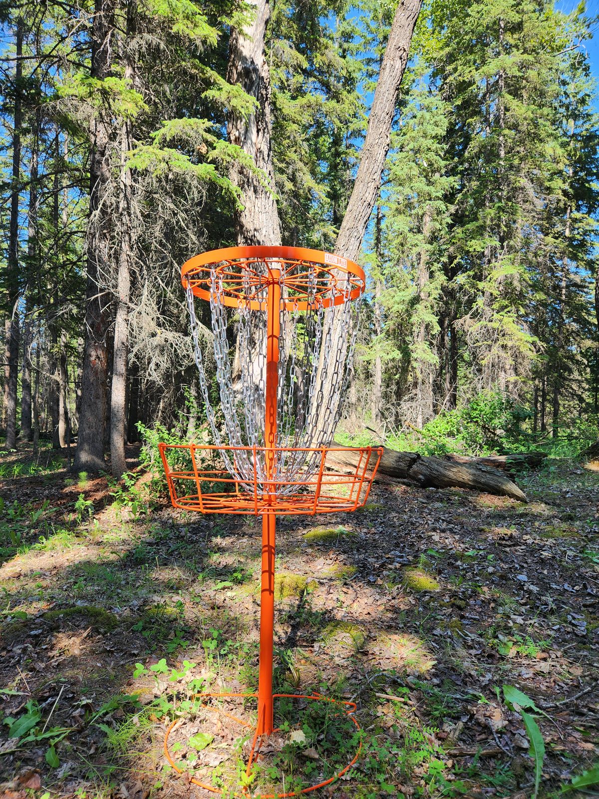 Hole #6