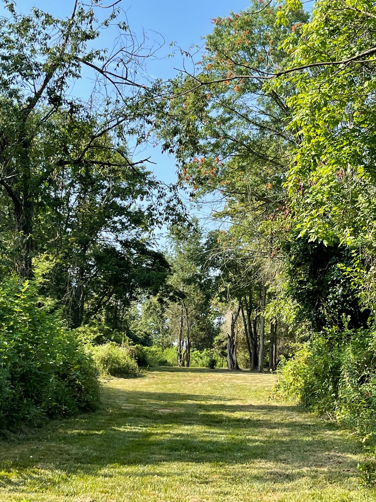 Hole 2 long tee pad