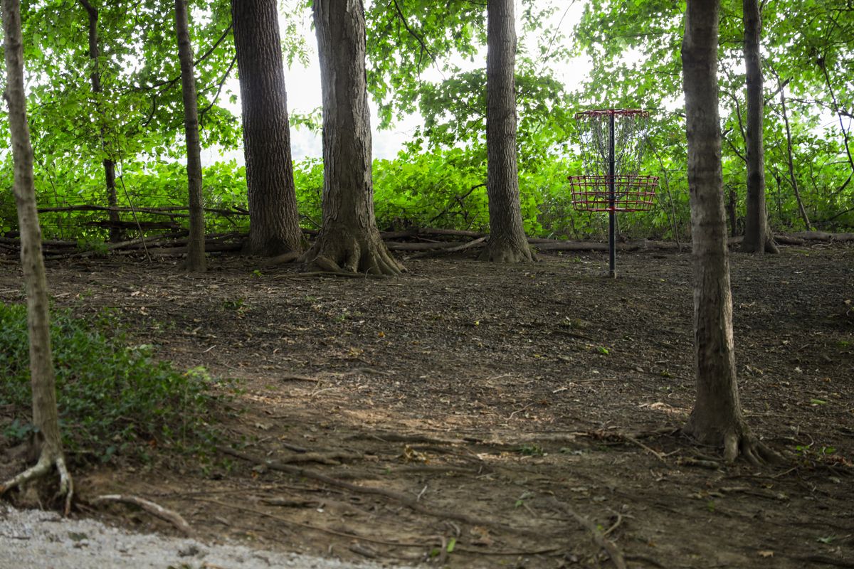 Hole 5 - green