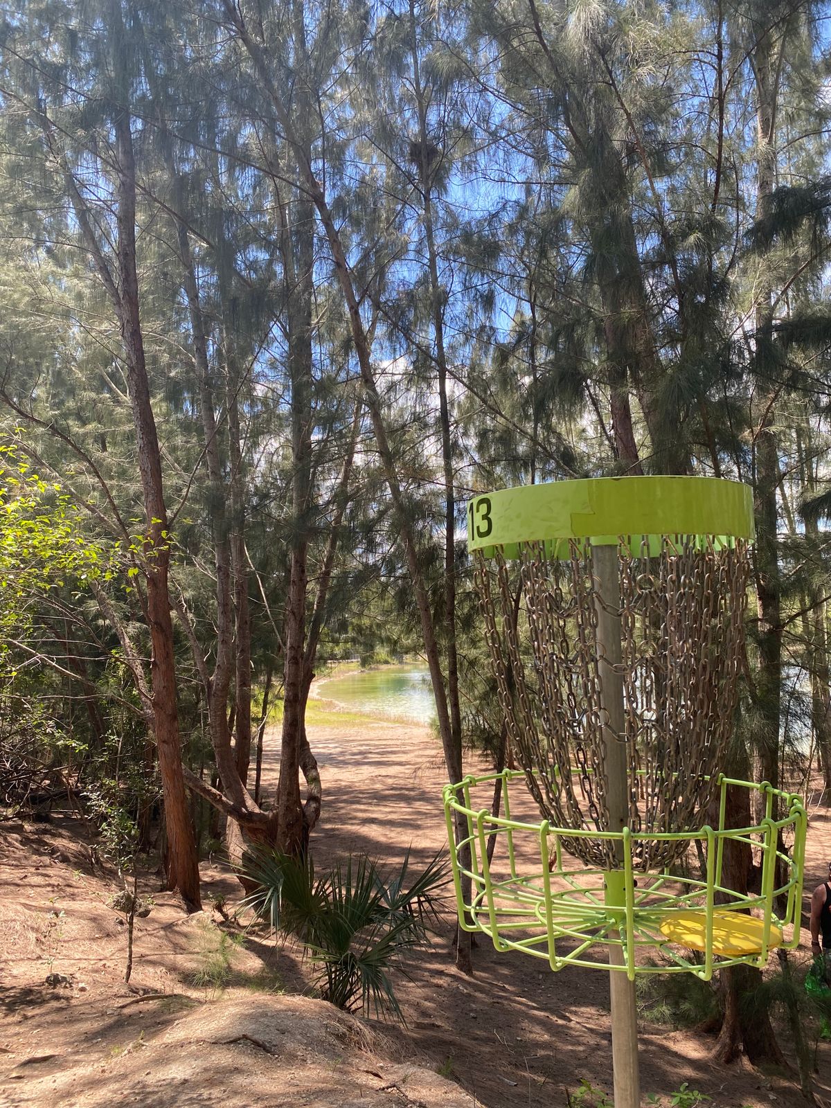 Elevated hole 13 basket. Difficult putt since its up on a hill but a fun and scenic hole overall