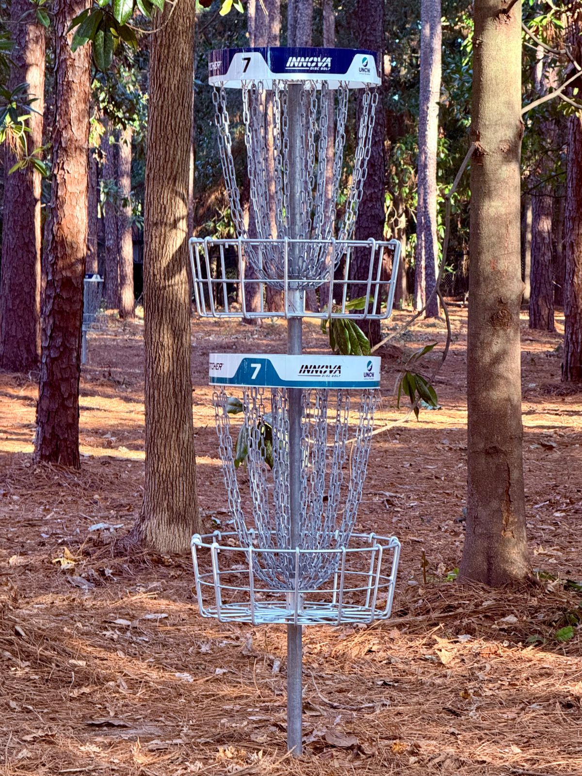 Hole 7 Long & Short baskets