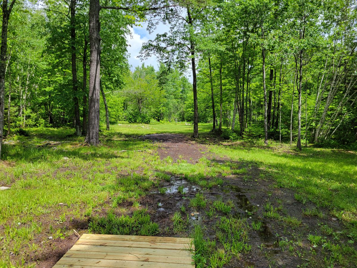 Looking towards 10th green. This hole gets wet. Pictured here after a solid 2 or 3 weeks of Rain early June.