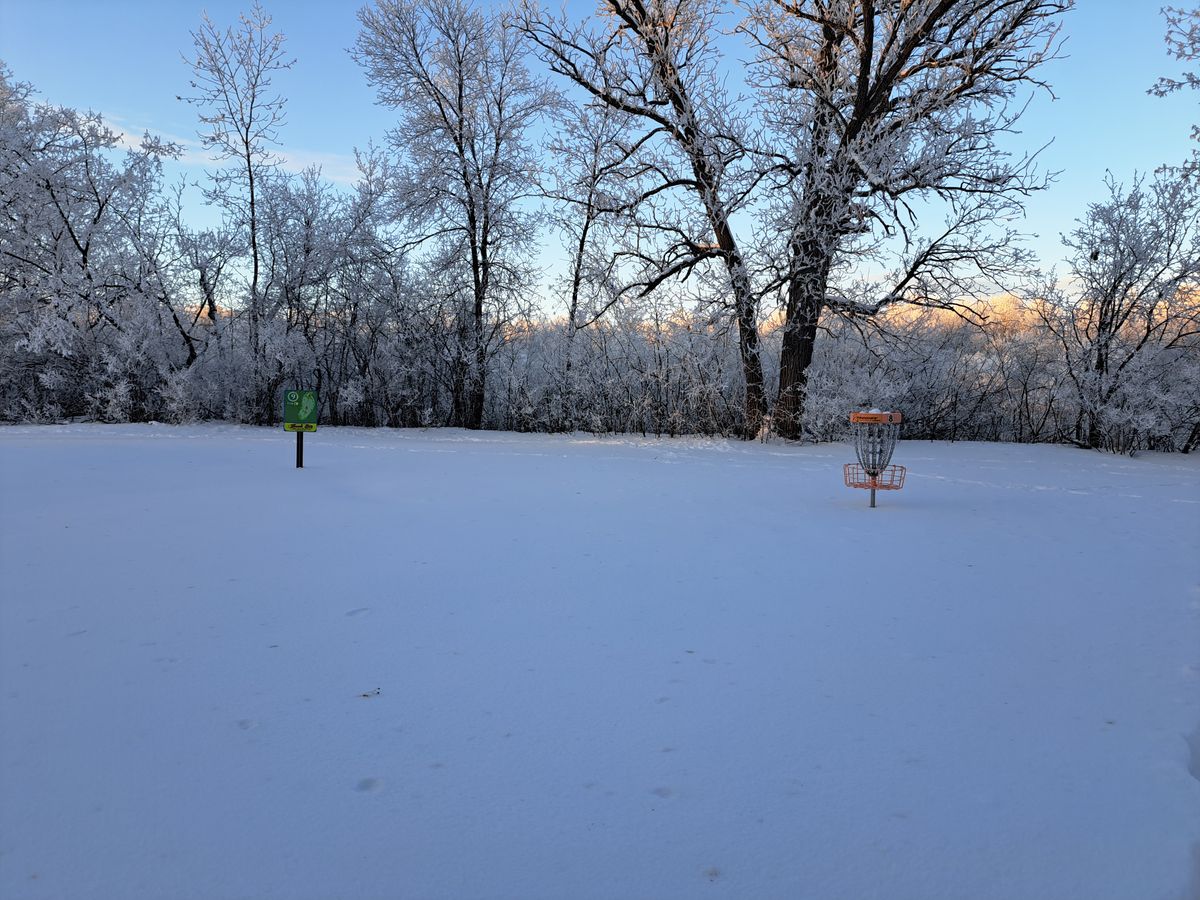 Hole 8 in the snow