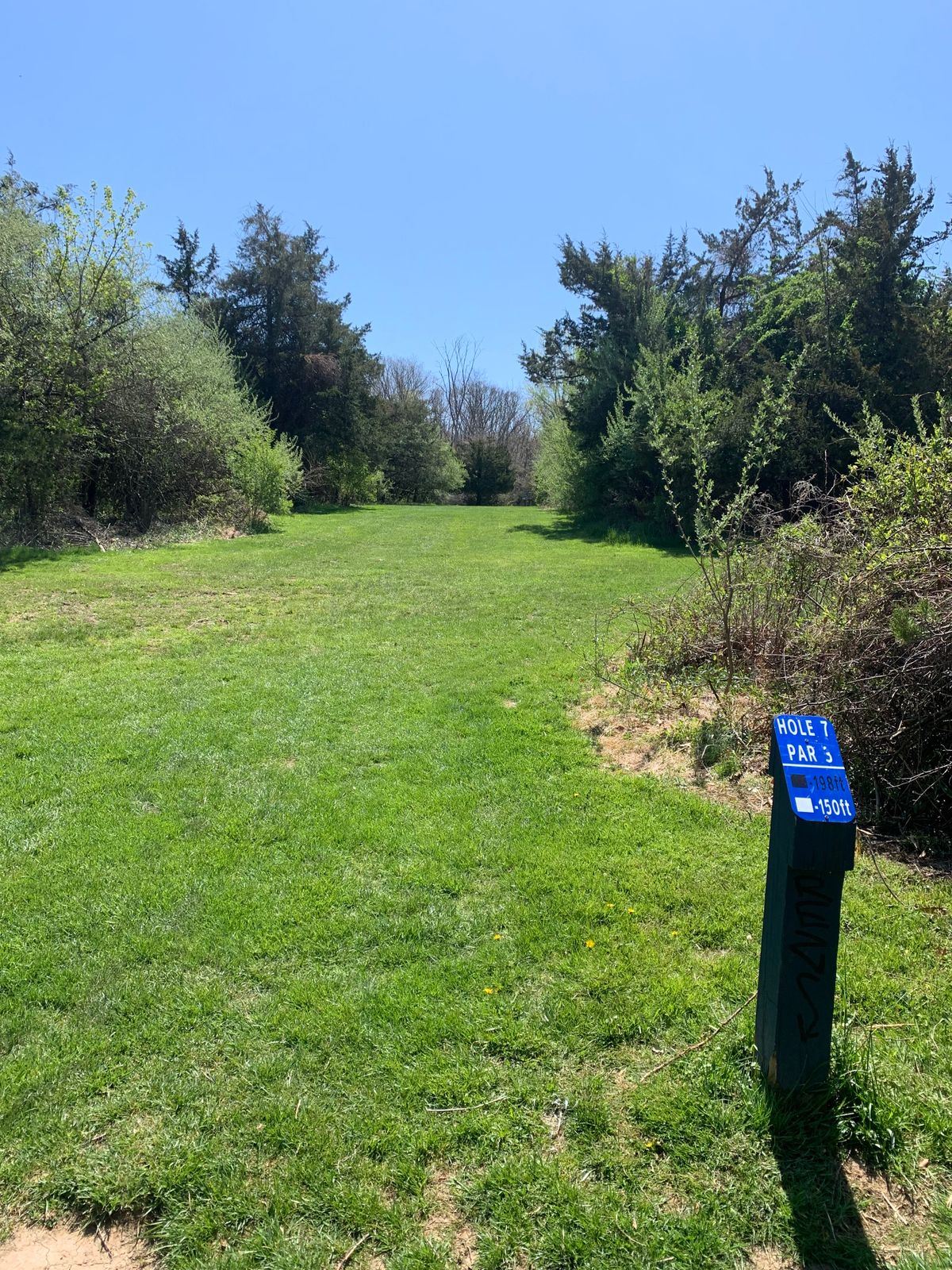 Hole 7 - Blue Tee
