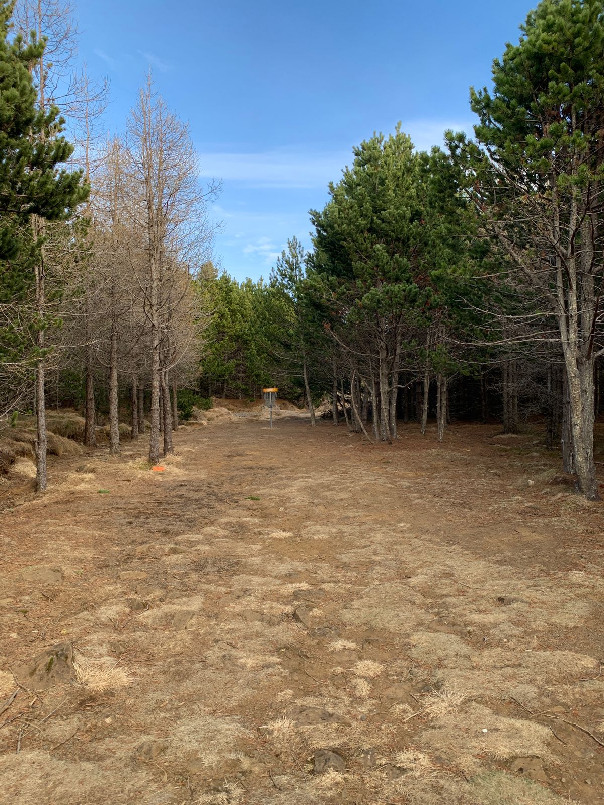 Fairway hole 3