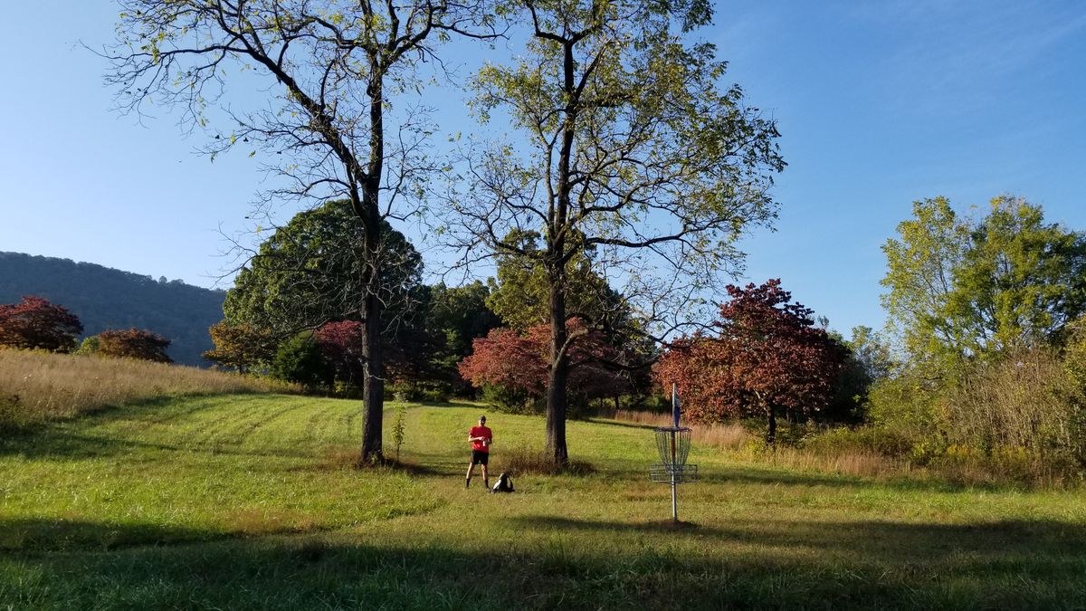 Hole 14 pin reverse