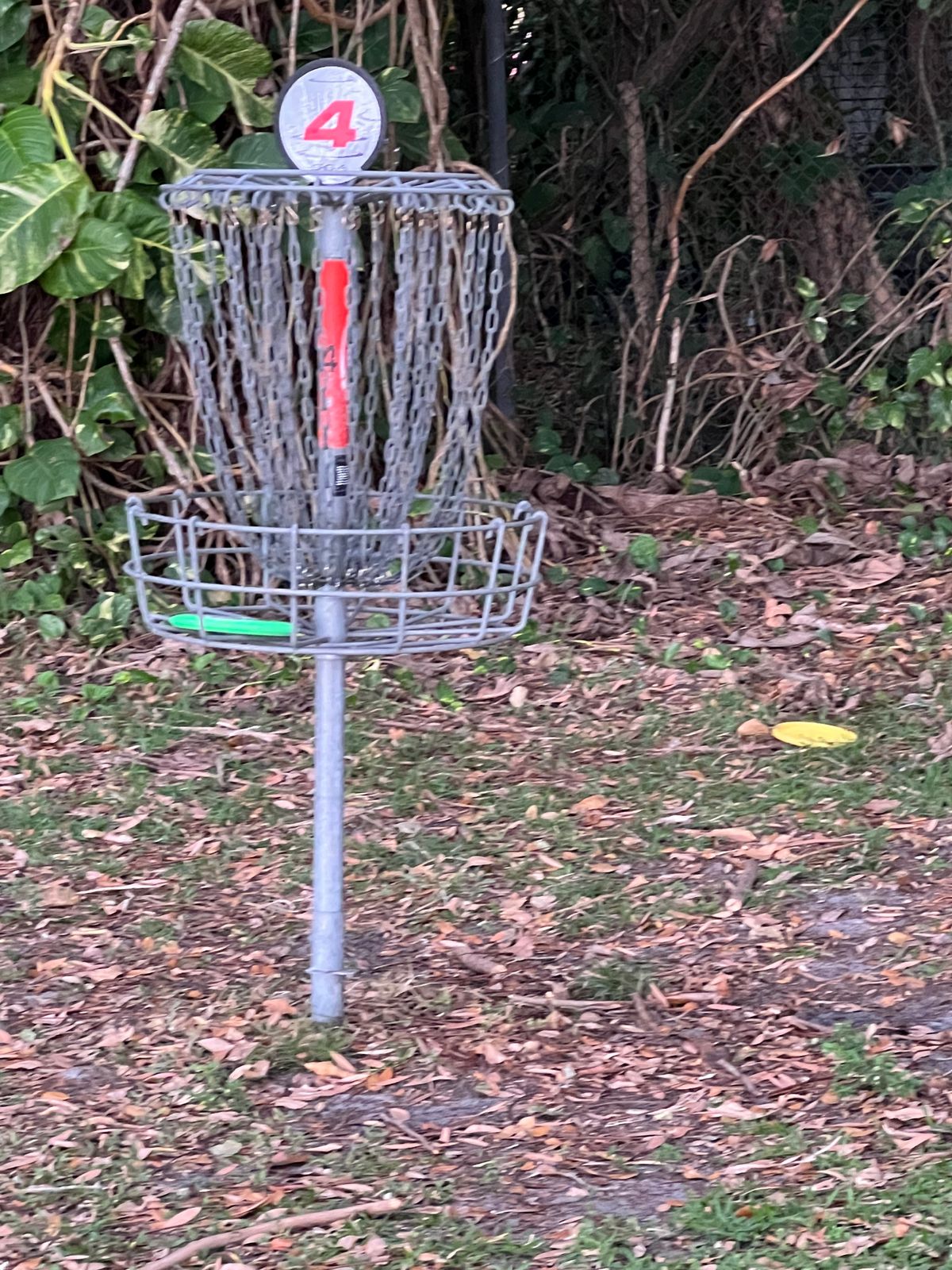 Hole 4 basket got some competition