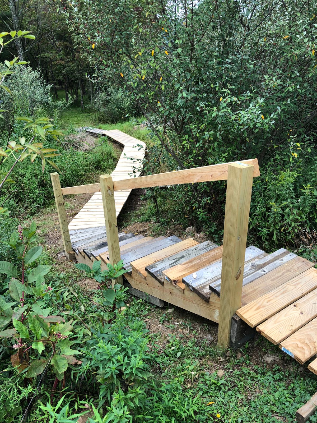 New boardwalk and stairs after 16