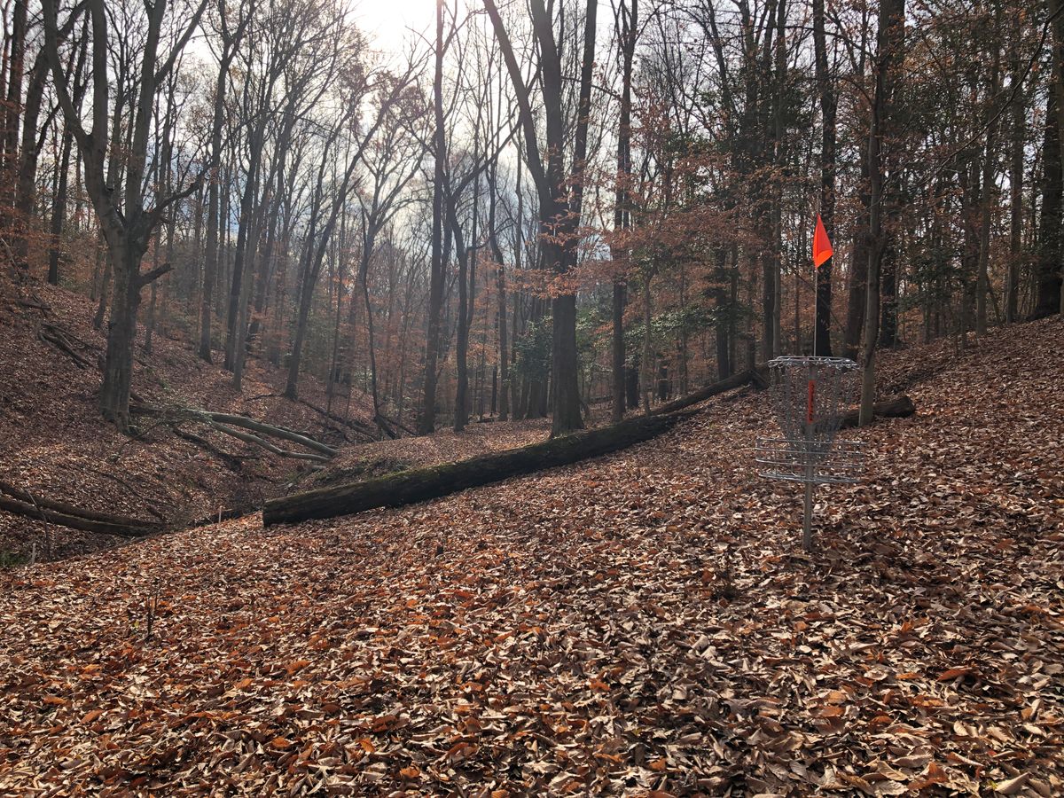 Hole 4 basket (looking back toward tee)