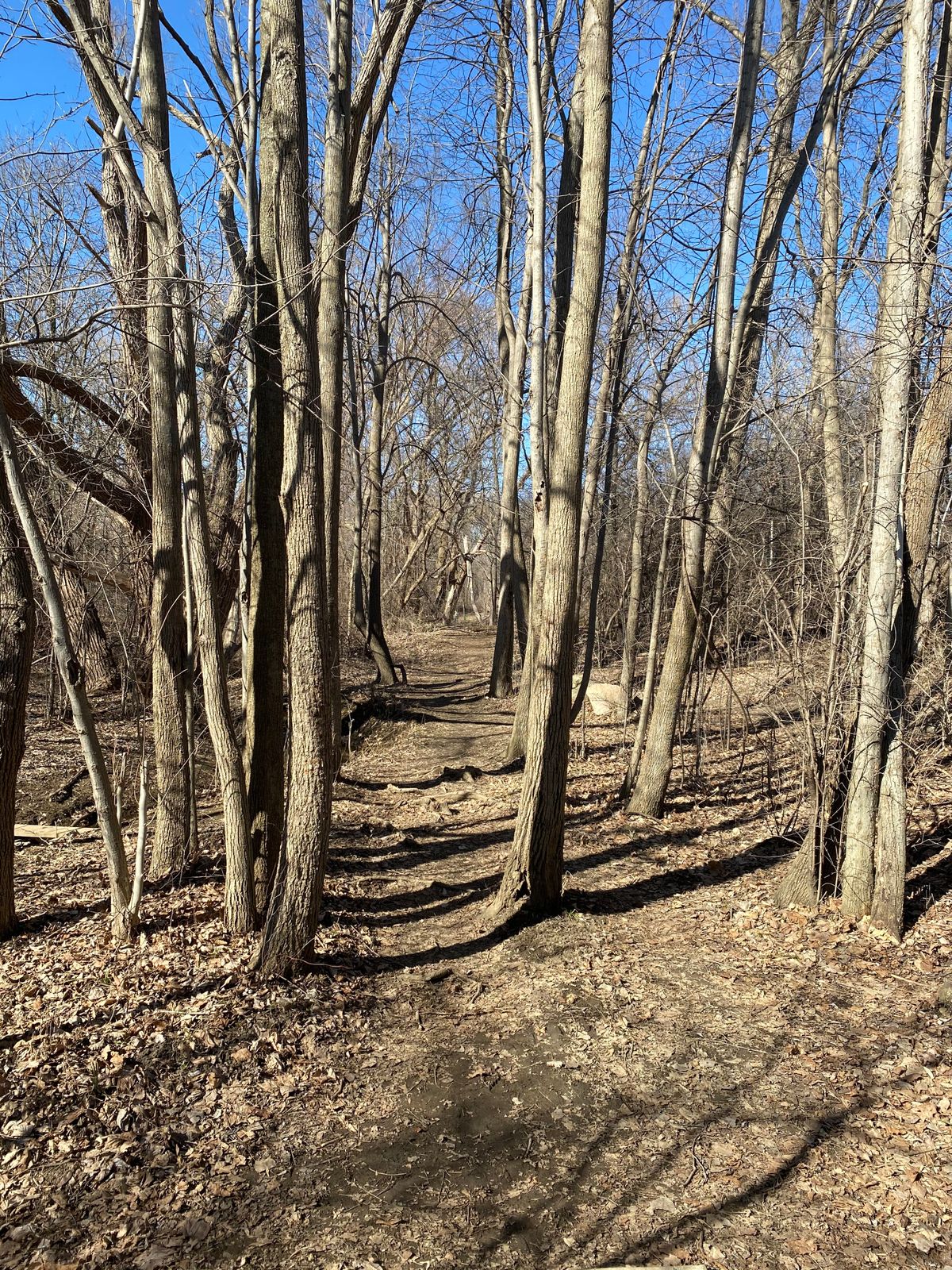 Hole 4 Tee view