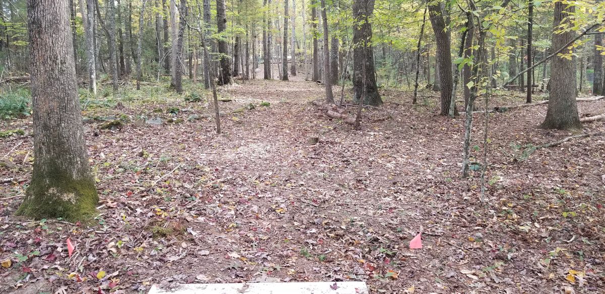 Hole 3 tee