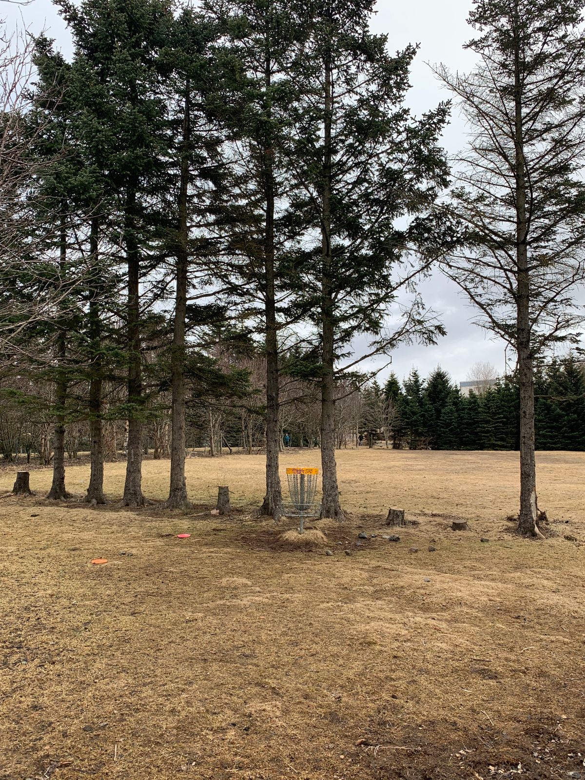 Hole 3