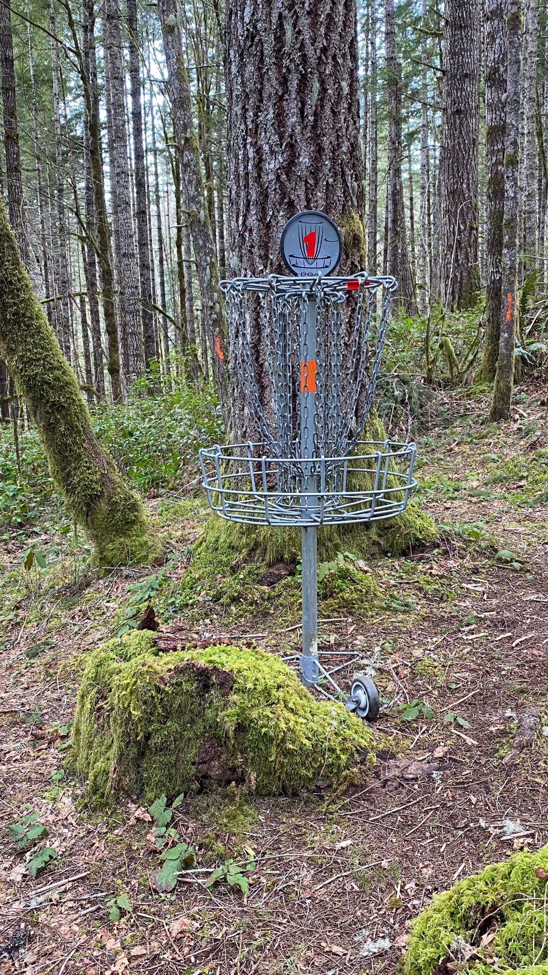 Hole 1