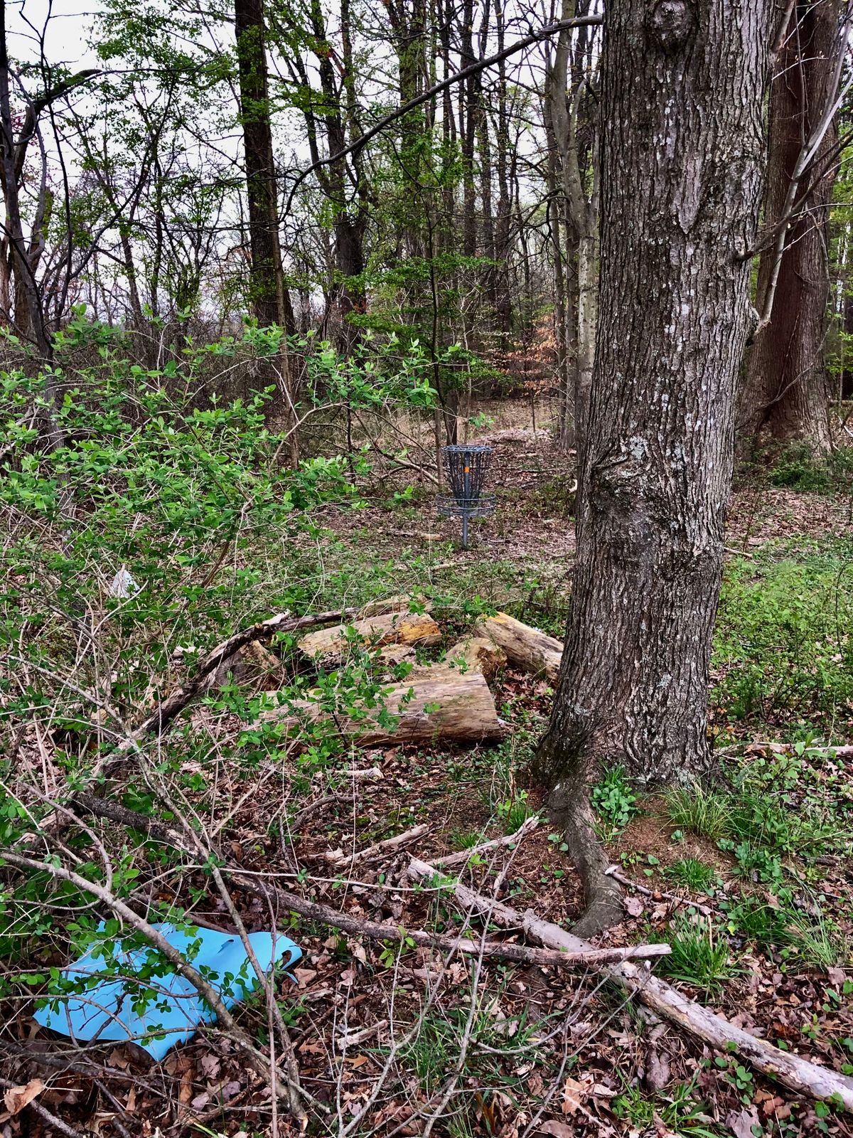 Basket at the 2nd Hole